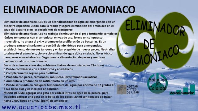 Sin Nombre