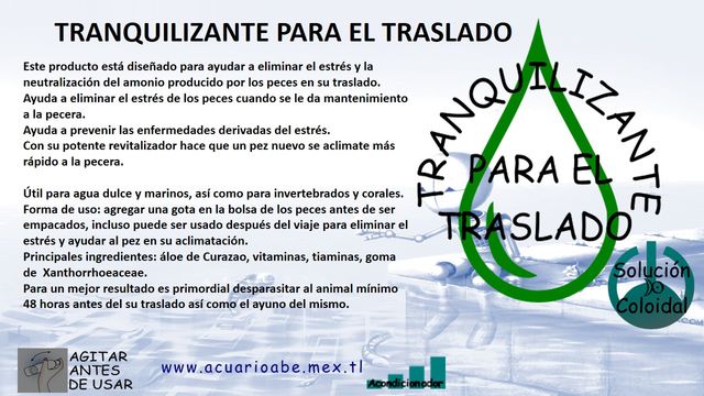 Sin Nombre