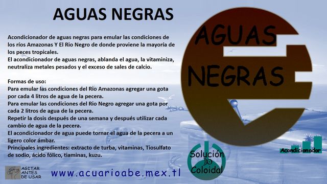 Sin Nombre