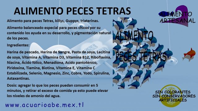 Sin Nombre
