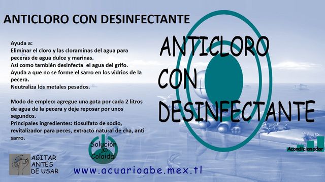 Sin Nombre