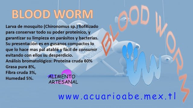 Sin Nombre