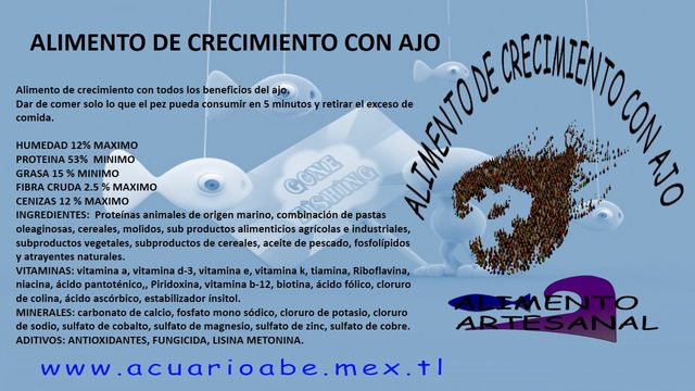 Sin Nombre